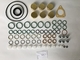 Dieseleinspritzungs-Pumpen-Reparatur Kit Sealing O Ring Set 2417010010