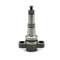 Diesel-Injektor-Pumpen-Plunger mit Flanschelement für die Automobilindustrie 2455-359